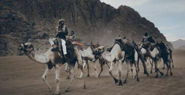 people riding camel on brown sand during daytime