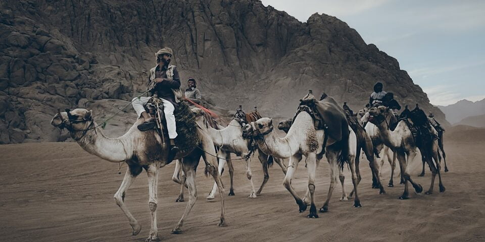 people riding camel on brown sand during daytime
