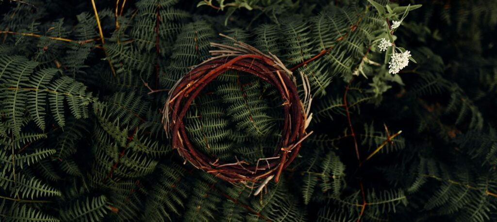 brown and white basket on green leaves jesus o unico