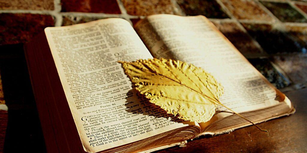 bible, bible study, read