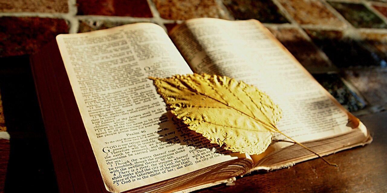bible, bible study, read