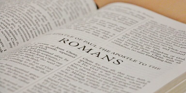 king james version, kjv, bible