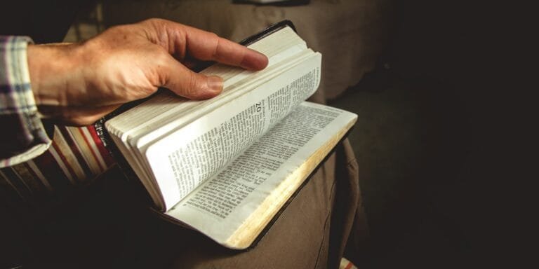 person holding book