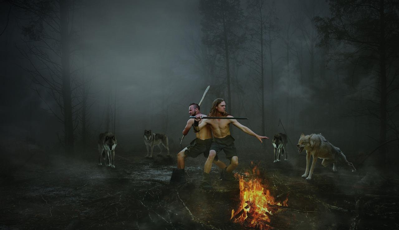 people, adult, man, smoke, wolf, courage, adventure, danger, fantasy, forest, battle, predator, animal, nature, tense, wolves, raid, bad wolf, darkness, fighter, races, surprise, wolf, courage, battle, battle, wolves, wolves, wolves, wolves, wolves